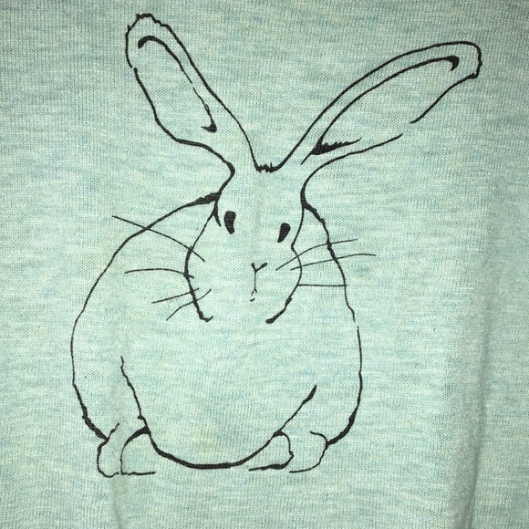 Bunny Rabbit Sweater! - Picture 3 of 3